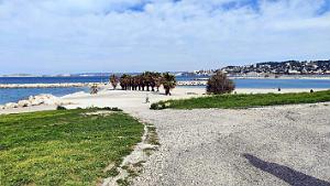 MARSEILLE - Plages Vieille-Chapelle-Prado - 3 avril 2025 - 14